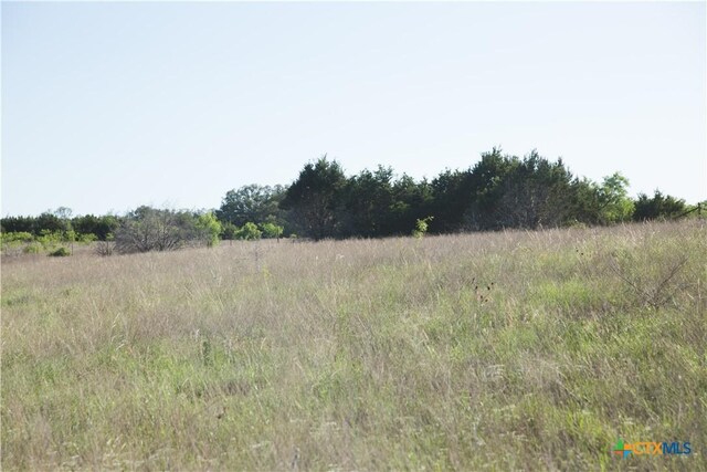 TBD County Road 3900, Adamsville, TX 76550 - photo 10