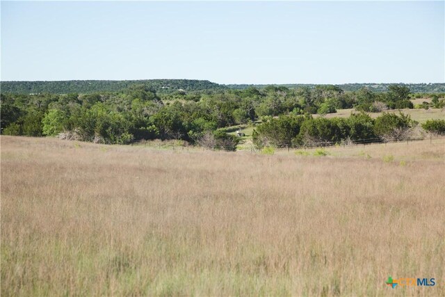 TBD County Road 3900, Adamsville, TX 76550 - photo 5