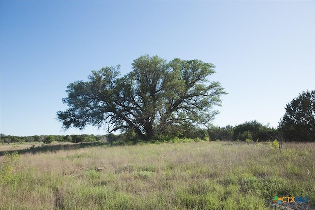TBD County Road 3900, Adamsville, TX 76550 - photo 7