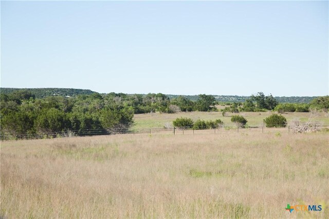 TBD County Road 3900, Adamsville, TX 76550 - photo 6