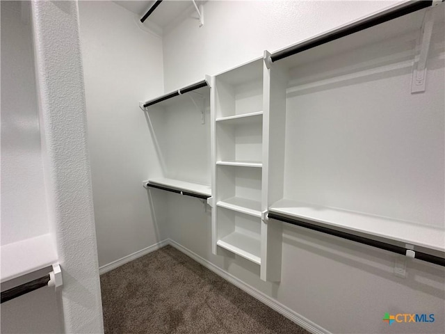 2032 Yarrow Rd, Temple, TX 76502 - spacious closet with carpet flooring