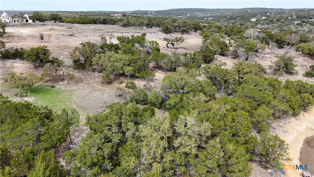 Listing photo 3 for 2519 George Pass, Canyon Lake TX 78133