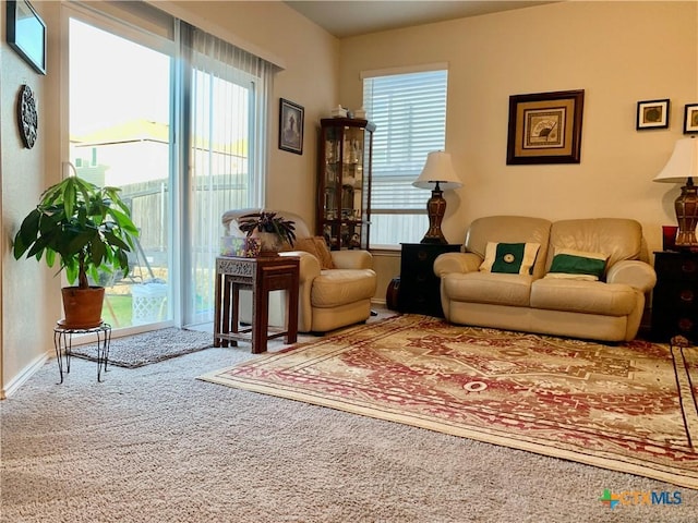 living area featuring carpet and a wealth of natural light