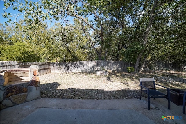 view of yard featuring a patio area