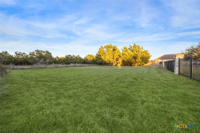 204 Diamond Trl, Georgetown, TX 78633 - photo 18