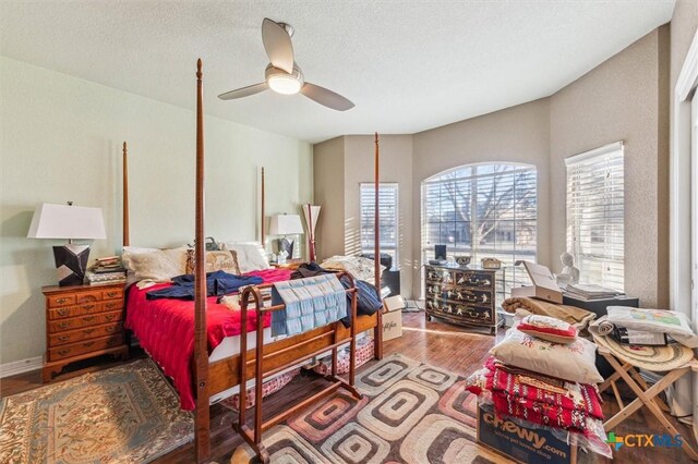204 Diamond Trl, Georgetown, TX 78633 - photo 11
