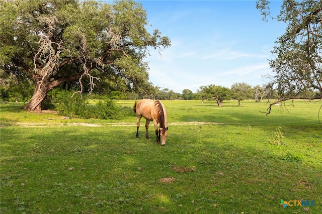 TBD E Martindale Rd, Seguin, TX 78155