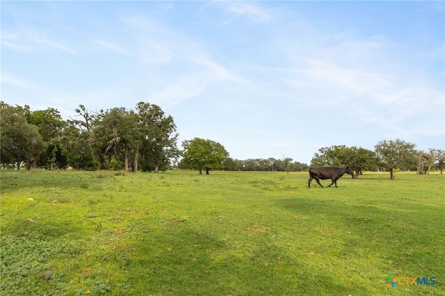 TBD E Martindale Rd, Seguin, TX 78155