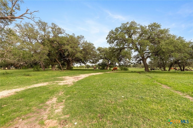TBD E Martindale Rd, Seguin, TX 78155