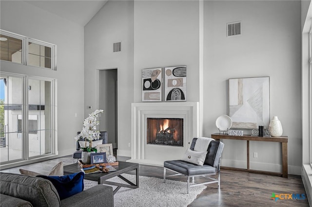 living room with hardwood / wood-style flooring and high vaulted ceiling