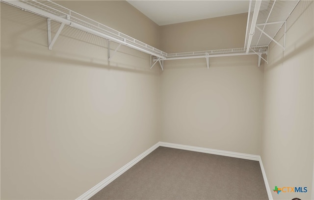 spacious closet with carpet