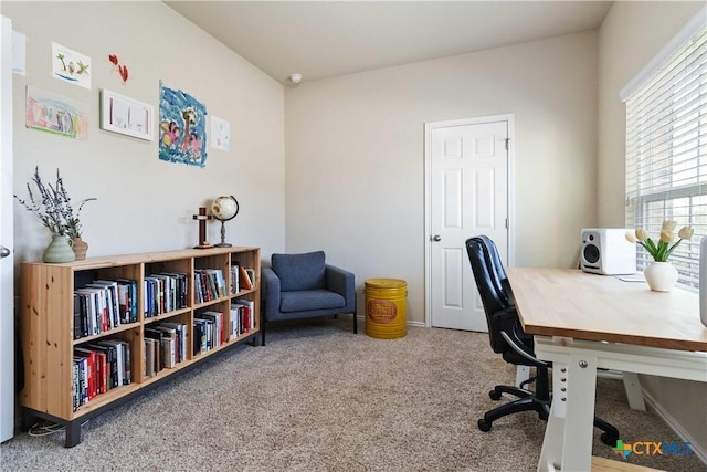 office space with carpet flooring