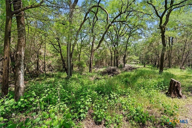 419 Valley View W Rd, San Marcos, TX 78666