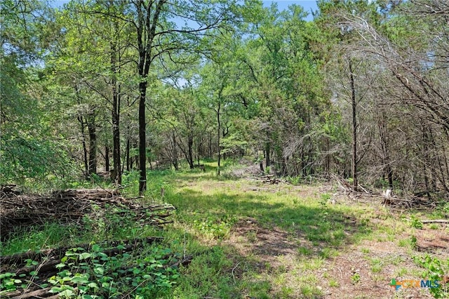419 Valley View W Rd, San Marcos, TX 78666