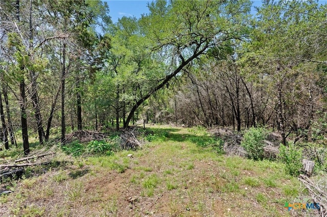 419 Valley View W Rd, San Marcos, TX 78666