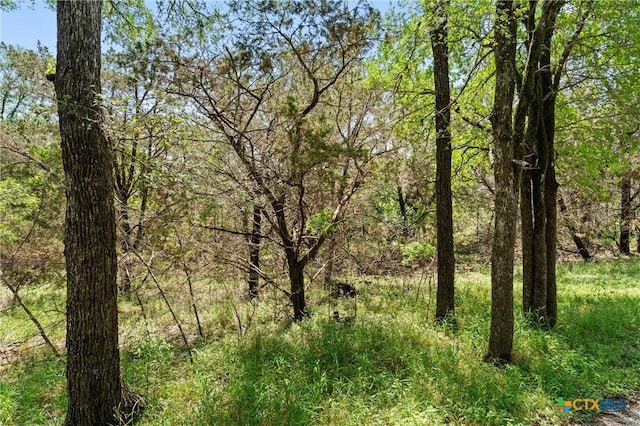 419 Valley View W Rd, San Marcos, TX 78666