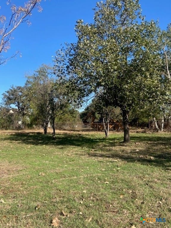 1025 E Fannin St, Luling, TX 78648 - view of green lawn