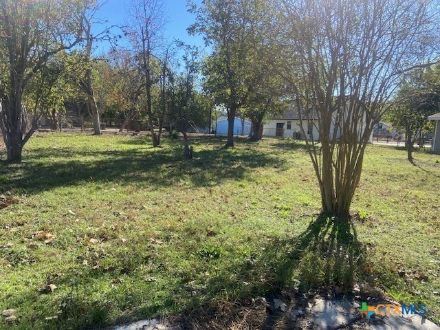 1025 E Fannin St, Luling, TX 78648 - view of green lawn
