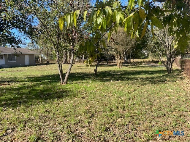 1025 E Fannin St, Luling, TX 78648 - view of green lawn