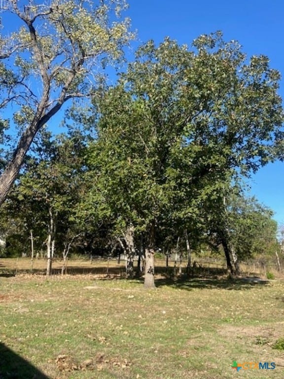 1025 E Fannin St, Luling, TX 78648 - view of green lawn