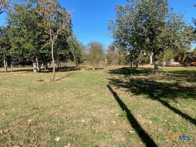 1025 E Fannin St, Luling, TX 78648 - view of green lawn