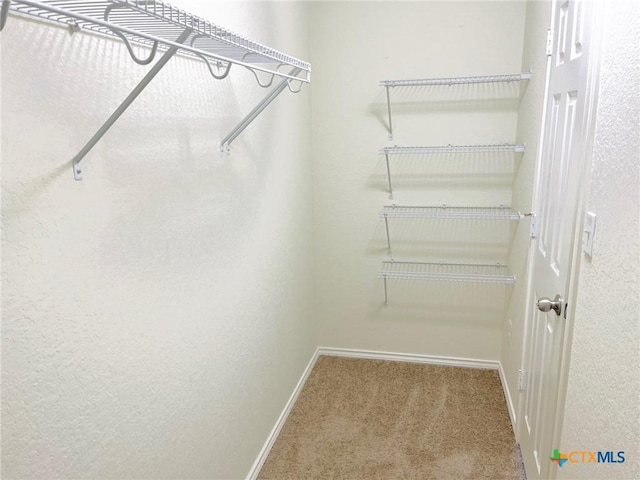 spacious closet with carpet