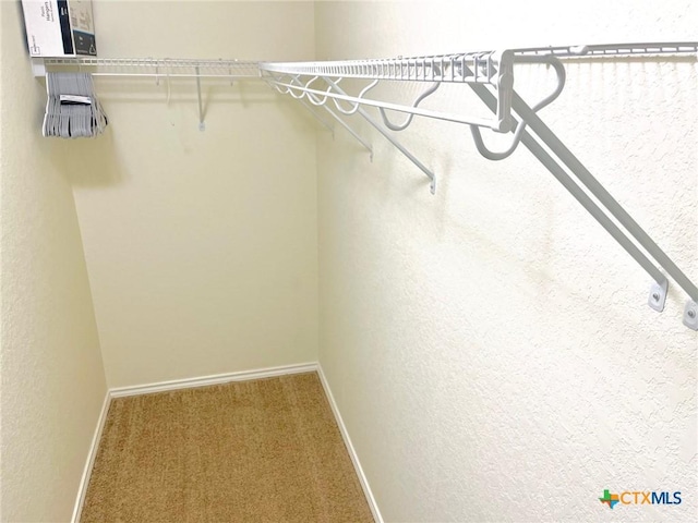 walk in closet featuring carpet