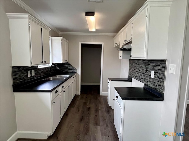 kitchen featuring white cabinetry, sink, and ornamental molding