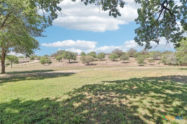 103 Misty Bnd, Floresville, TX 78114 - view of yard with a rural view