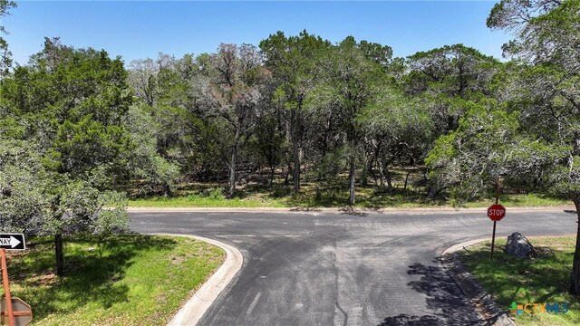 26902 Rockwall Pkwy, New Braunfels, TX 78132 - photo 11