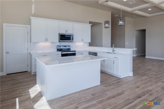 kitchen featuring wood tiled floor, a peninsula, a sink, stainless steel appliances, and backsplash