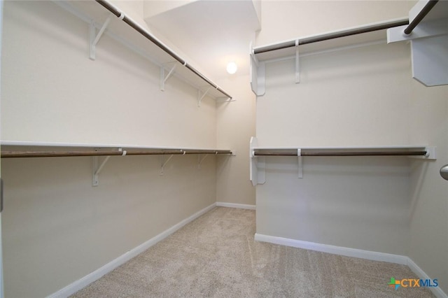 walk in closet featuring light carpet