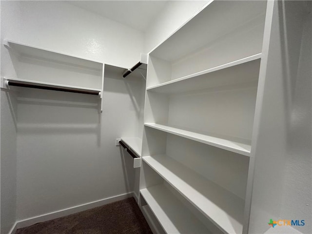 spacious closet featuring dark colored carpet