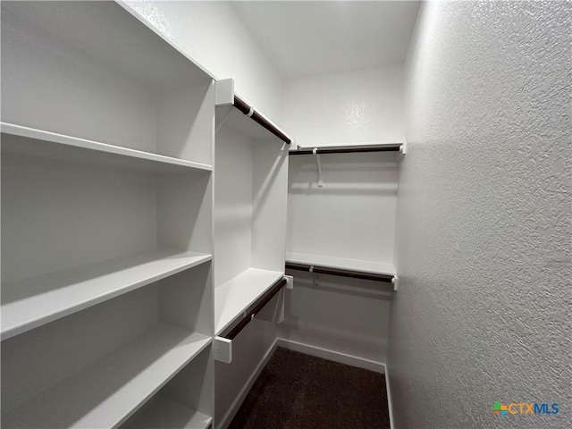 view of walk in closet