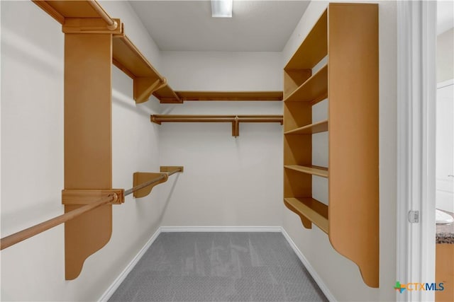 walk in closet with carpet floors