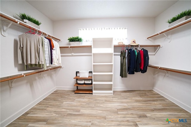 spacious closet featuring wood finished floors