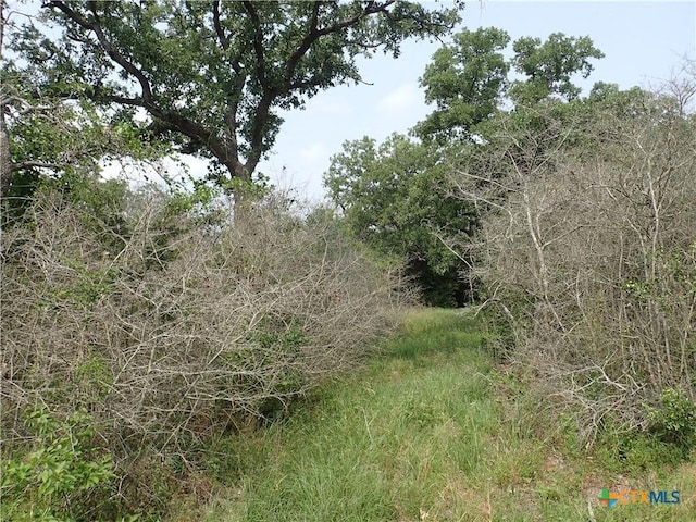 1140 Chalk Rd, Harwood, TX 78632 - photo 4