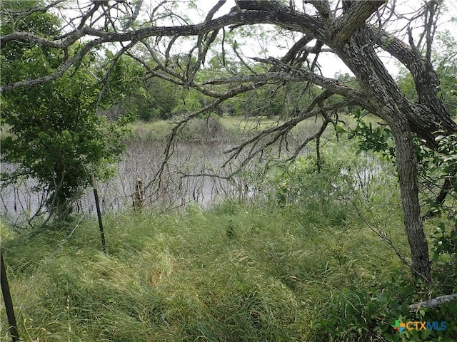 1140 Chalk Rd, Harwood, TX 78632 - photo 15