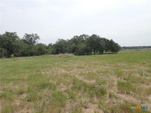 1140 Chalk Rd, Harwood, TX 78632 - photo 8