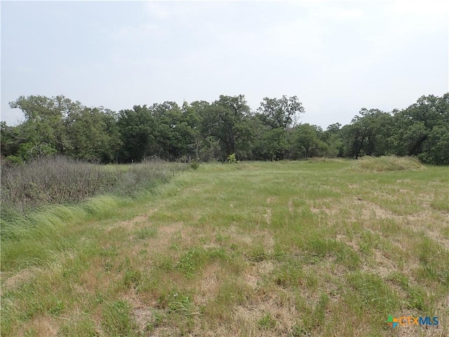 1140 Chalk Rd, Harwood, TX 78632 - photo 13