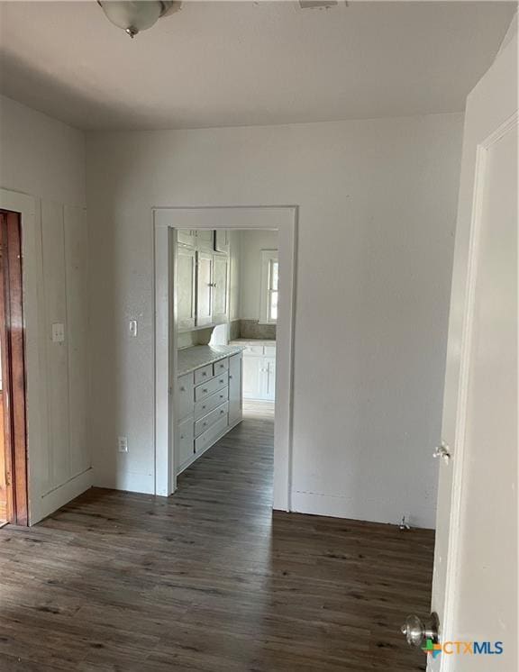 interior space featuring dark wood-type flooring