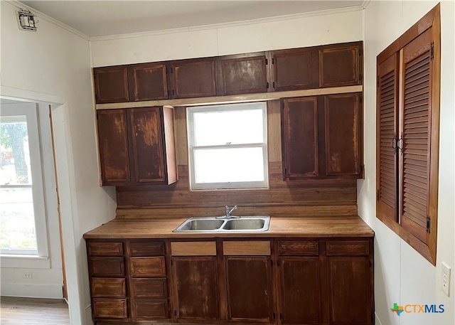 kitchen featuring backsplash, crown molding, light wood-type flooring, and sink