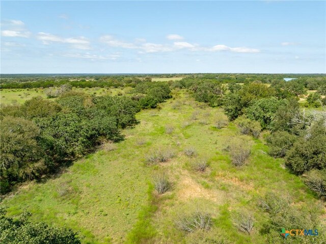 TBD County Road 102, Purmela, TX 76566 - photo 24