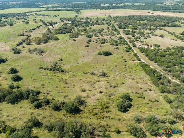 TBD County Road 102, Purmela, TX 76566 - photo 4