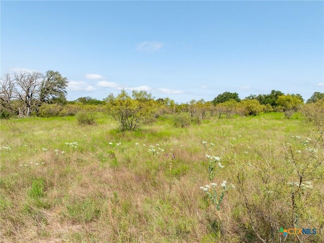 TBD County Road 102, Purmela, TX 76566 - photo 20