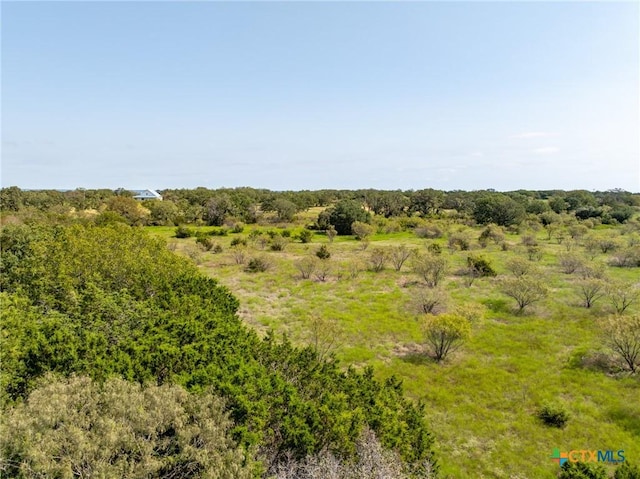 TBD County Road 102, Purmela, TX 76566 - photo 17