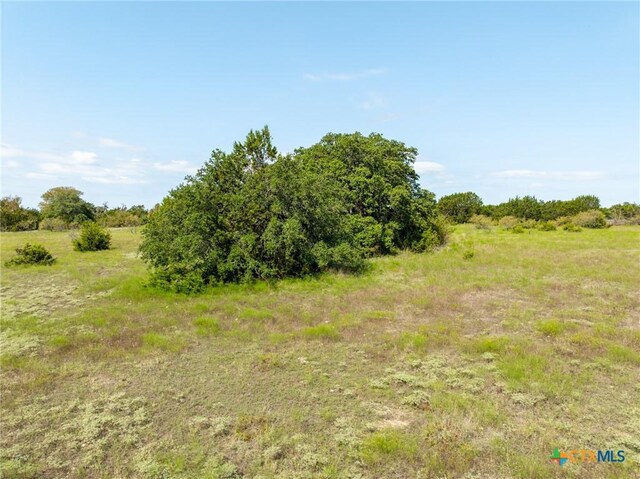 TBD County Road 102, Purmela, TX 76566 - photo 12