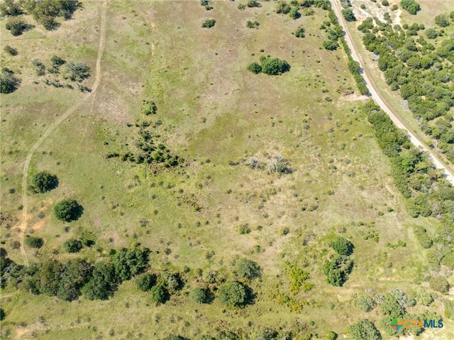 TBD County Road 102, Purmela, TX 76566 - photo 7