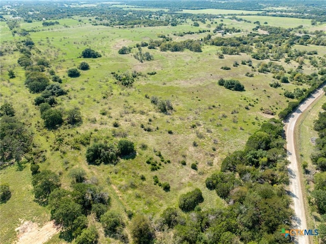 TBD County Road 102, Purmela, TX 76566 - photo 3