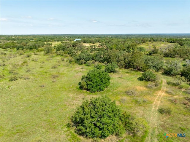 TBD County Road 102, Purmela, TX 76566 - photo 23
